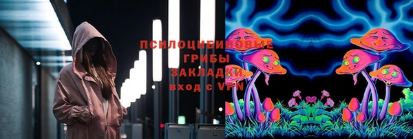 соль ск Осташков