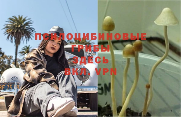 соль ск Осташков