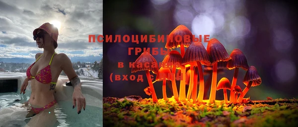 не бодяженный Осинники