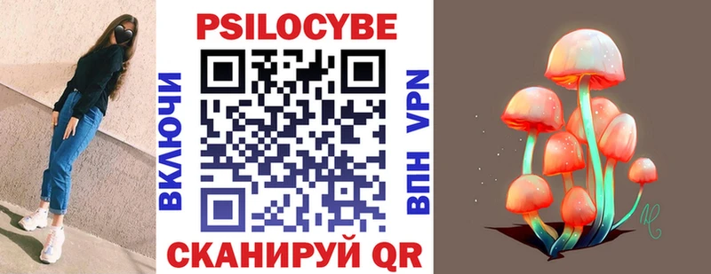 Галлюциногенные грибы Psilocybe  Химки 