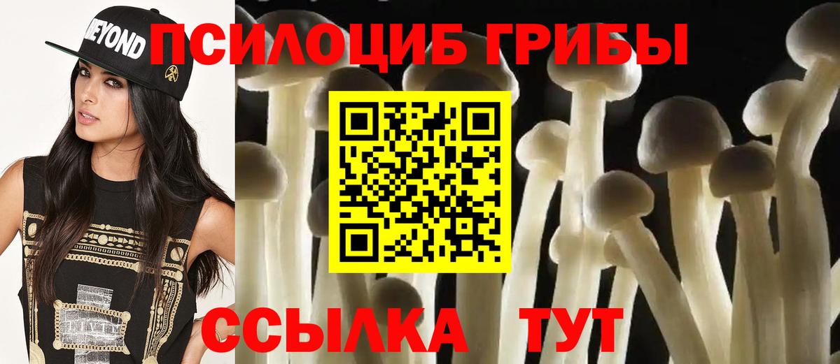 Псилоцибиновые грибы ЛСД  Галлюциногенные грибы мицелий  Химки  Вход с VPN 