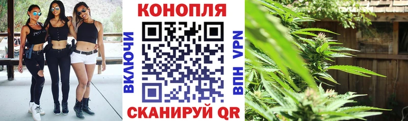 Бошки марихуана семена  дарнет шоп  кракен ссылки  Химки 